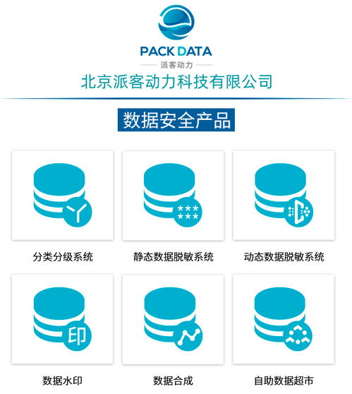 数据治理咨询服务 北京派客动力公司的软件开发赋能之道