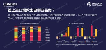 中国市场互联网数据资讯中心199it数据处理服务的深度解析