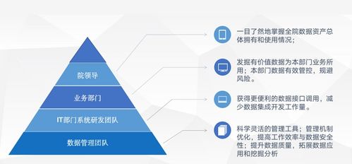 标准信息公共服务数据治理实践 某市标准技术研究院软件开发项目的深度解析